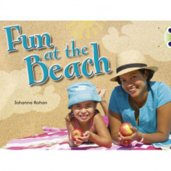 Bug Club Non-fiction Lilac Fun at the Beach 6-pack
