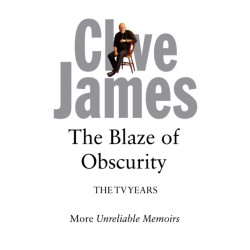 The Blaze of Obscurity: The TV Years