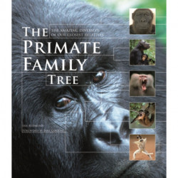 The Primate Family Tree: The Amazing Diversity of Our Closest Relatives