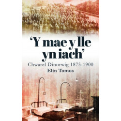 'Y Mae y Lle yn Iach' - Chwarel Dinorwig 1875-1900: Chwarel Dinorwig 1875-1900