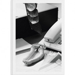 Buropflanze (office plant)