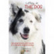 Letting in the Dog: Opening Hearts and Minds to a Deeper Understanding