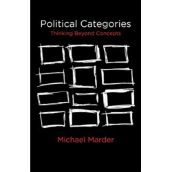 Political Categories: Thinking Beyond Concepts