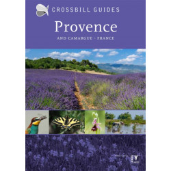Provence: And Camargue, France