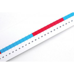 Numicon: 0-100cm scale Number Line