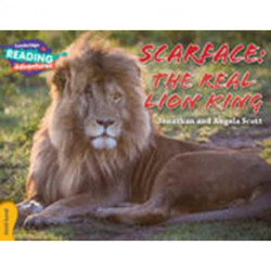 Cambridge Reading Adventures Scarface: The Real Lion King Gold Band