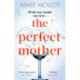 The Perfect Mother: A gripping thriller with a nail-biting twist