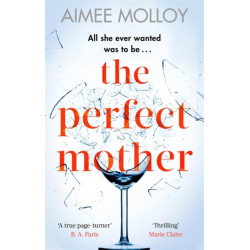 The Perfect Mother: A gripping thriller with a nail-biting twist