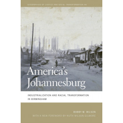 America's Johannesburg: Industrialization and Racial Transformation in Birmingham
