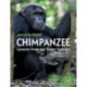 Chimpanzee: Lessons from our Sister Species