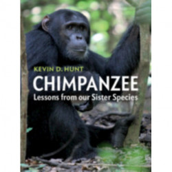 Chimpanzee: Lessons from our Sister Species