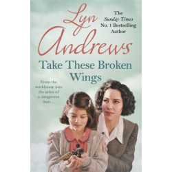Take these Broken Wings: Can she escape her tragic past?