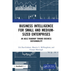 Business Intelligence for Small and Medium-Sized Enterprises: An Agile Roadmap toward Business Sustainability