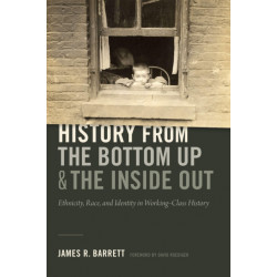 History from the Bottom Up and the Inside Out: Ethnicity, Race, and Identity in Working-Class History
