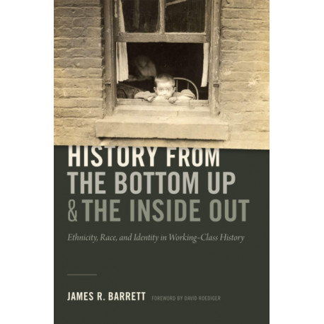 History from the Bottom Up and the Inside Out: Ethnicity, Race, and Identity in Working-Class History