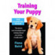 Training Your Puppy: The Essential Guide