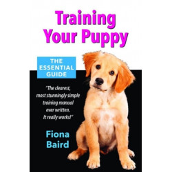Training Your Puppy: The Essential Guide