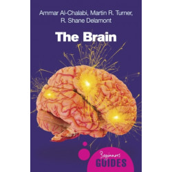 The Brain: A Beginner's Guide