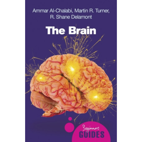 The Brain: A Beginner's Guide