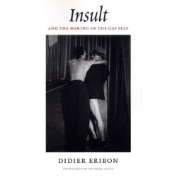 Insult and the Making of the Gay Self