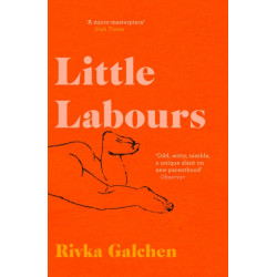 Little Labours