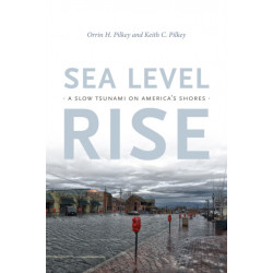 Sea Level Rise: A Slow Tsunami on America's Shores