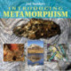 Introducing Metamorphism