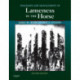 Diagnosis and Management of Lameness in the Horse