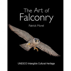 The Art of Falconry