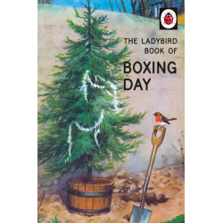 The Ladybird Book of Boxing Day