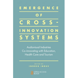 Emergence of Cross-innovation Systems: Audiovisual Industries Co-innovating with Education, Health Care and Tourism