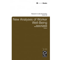 New Analyses in Worker Well-Being