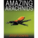 Amazing Arachnids
