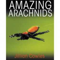 Amazing Arachnids