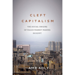 Cleft Capitalism: The Social Origins of Failed Market Making in Egypt