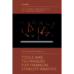 Tools and Techniques for Financial Stability Analysis