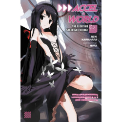 Accel World, Vol. 5 (Novel): The Floating Starlight Bridge