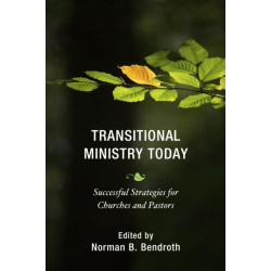 Transitional Ministry Today: Successful Strategies for Churches and Pastors