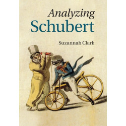 Analyzing Schubert