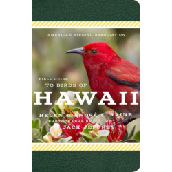 American Birding Association Field Guide to Birds of Hawaii