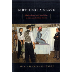 Birthing a Slave: Motherhood and Medicine in the Antebellum South
