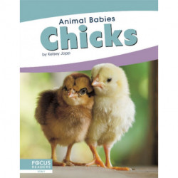 Chicks