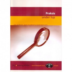 Praksis under lup
