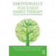 Emotionally Focused Family Therapy: Restoring Connection and Promoting Resilience