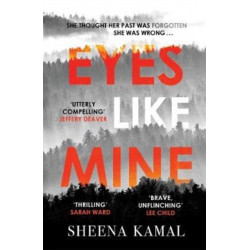 Eyes Like Mine: 'Utterly compelling . . . Will stay with you for a long, long time' Jeffery Deaver