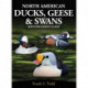 North American Ducks, Geese and Swans: an identification guide
