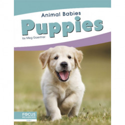 Puppies