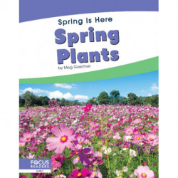 Spring Plants