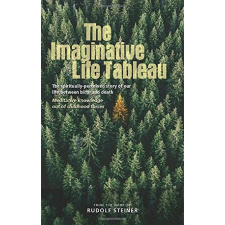 The Imaginative Life Tableau: The spiritually-perceived story of our life between birth and death. Meditative knowledge out of childhood forces