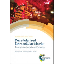 Decellularized Extracellular Matrix: Characterization, Fabrication and Applications